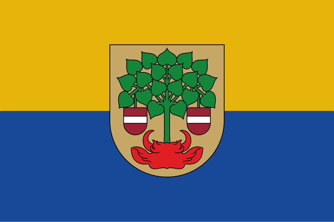 File:Valmiera flag.svg