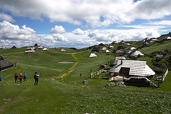 Velika planina