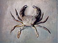 Velvet Crab, ~ 1870-1871