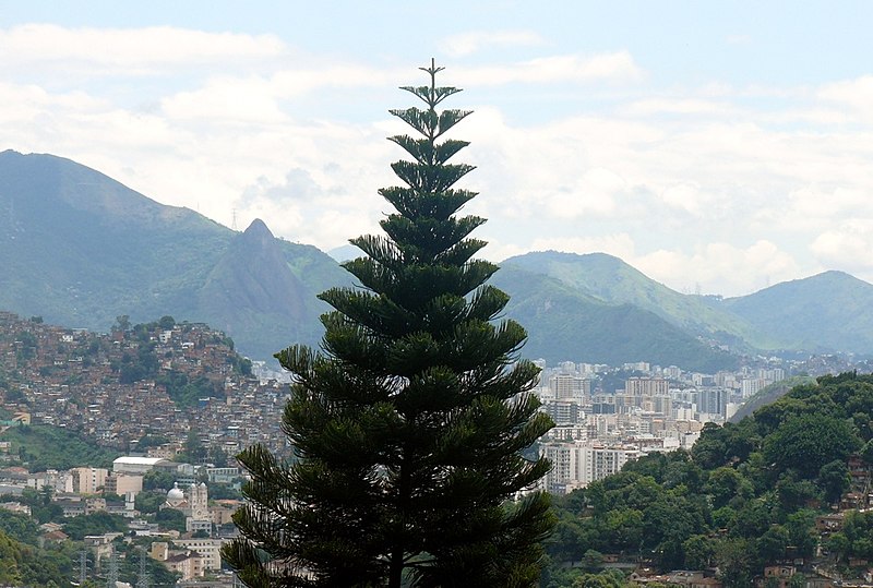 File:View from Santa Teresa district (3454537379).jpg