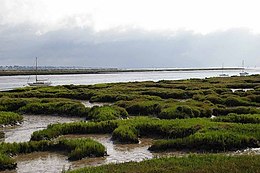 View to Great Cob Island - geograph.org.uk - 218950.jpg