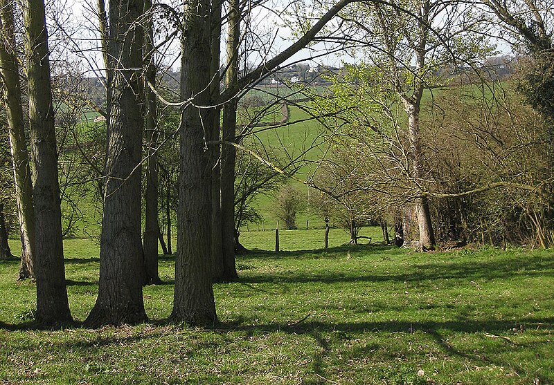 File:View to Linton ridge from Gorsley Common - geograph.org.uk - 1804493.jpg