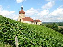 Vignoble du Jura