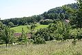 Blick übers Mühlental auf die Waldberge