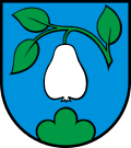 Seniorenumzug Birrwil, Seniorenumzug Birrwil