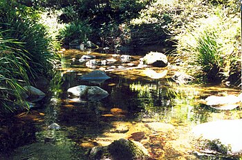 Washpool National Park