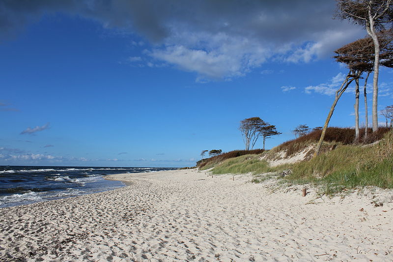 File:Weststrand 2km südlich vom Darßer Ort.JPG