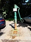 Wilmersdorf Am Volkspark water pump 37.jpg