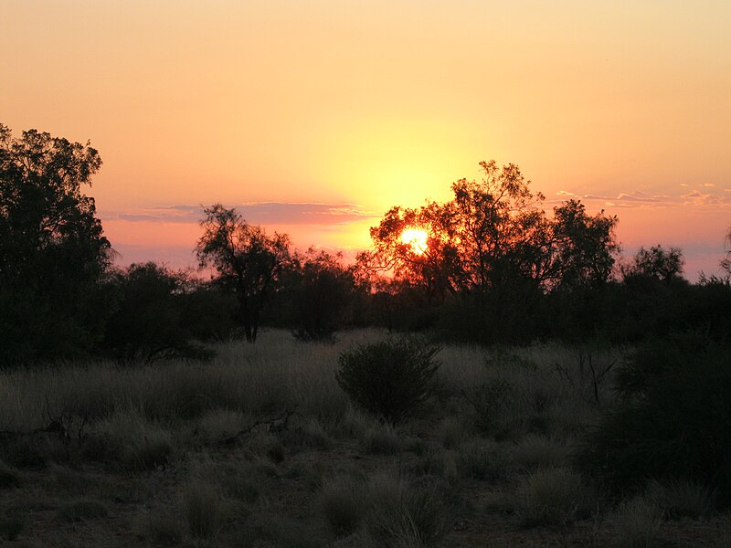 File:Windorah sunrise.jpg