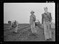 Women in war. Agricultural workers 8b09746v.jpg