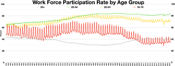 In the United States, the COVID-19 pandemic has prompted a number of older workers to retire early. Work Force Participation Rate by Age Group.webp