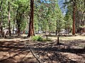 Yosemite Cemetery 3.jpg