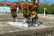 Banjar: Kuburan Yudhi Wahyuni (Walikuta Banjarmasin matan tahun 2005 sampai tahun 2010) di Alkah Datu Amin, Banua Anyar, Banjarmasin, Kalimantan Salatan. Bahasa Indonesia: Makam Yudhi Wahyuni (Walikota Banjarmasin dari tahun 2005 hingga tahun 2010) di Kompleks Pemakaman Datu Amin, Banua Anyar, Banjarmasin, Kalimantan Selatan. English: The grave of Yudhi Wahyuni (Mayor of Banjarmasin from 2005 to 2010) at the Datu Amin Cemetery in Banua Anyar, Banjarmasin, South Kalimantan.