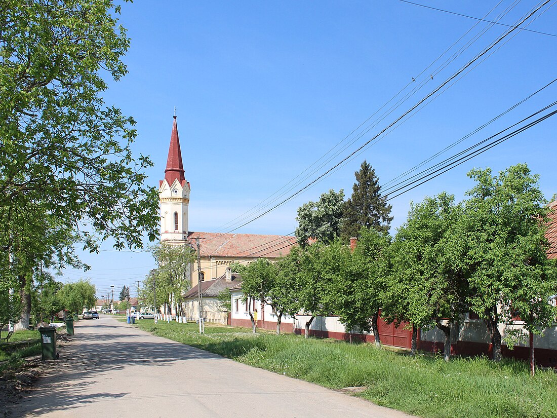 Zădăreni