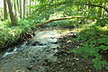 English: Zelenský luh, nature reserve in the Šumava mountains, the Czech Republic. Čeština: Zelenský luh, přírodní rezervace v CHKO Šumava.