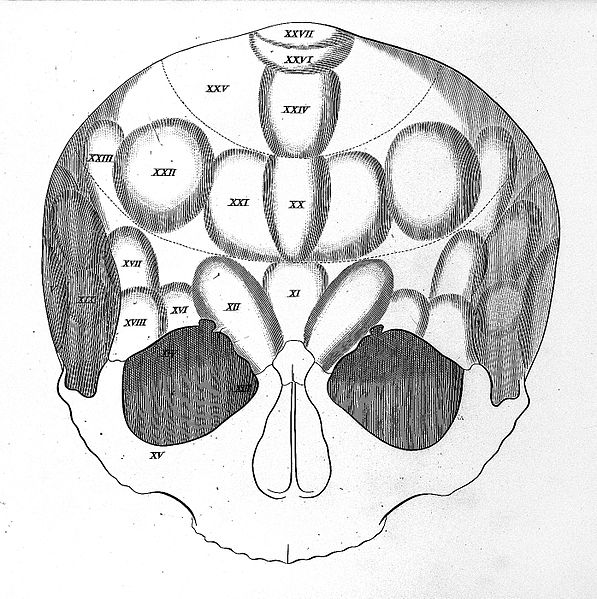 File:"Anatomie et physiologie..." F.J. Gall & J.C. Spurheim, 1810 Wellcome L0020349.jpg