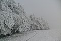 "Locul Popii" d' inverno.JPG