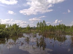 пруд на реке в селе Великая Фосня на заднем плане Покровская церковь