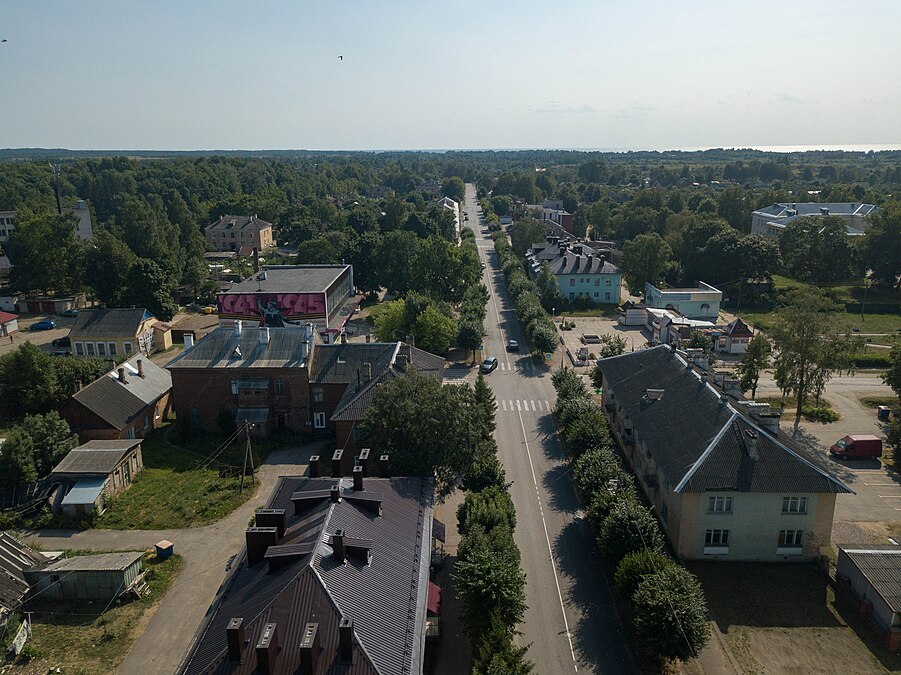 Aerial view of Karl Marx Street — the main street of Gdov