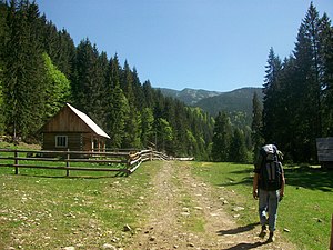 Mount Pikun