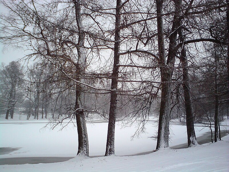 File:Зимой на Елагином острове.JPG