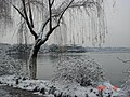 杭州.西湖雪景（背景：湖畔居） - panoramio.jpg