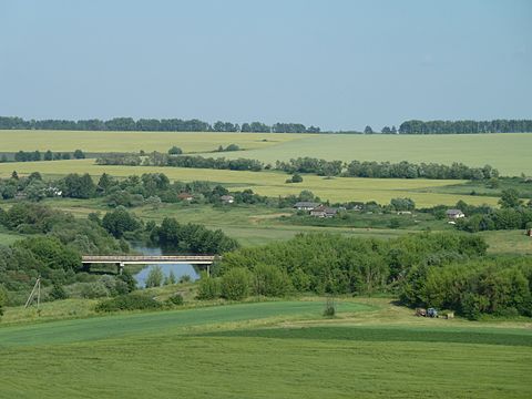 Орловское сельское. Воротынцево Новосильский район Орловская область. Городище Воротынцево Орловская область. Городище Новосиль. С.Воротынцево Орловской обл..