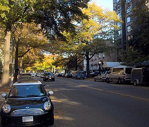Four-lane street segment, lined with trees with a large canopy