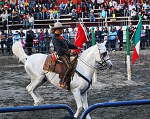 Horse bucking as an act of disobedience or discomfort 14CharroFeria09.JPG