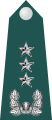 한국 육군 중장 견장