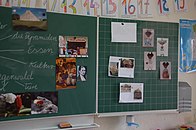 Projektarbeit der Grundschule