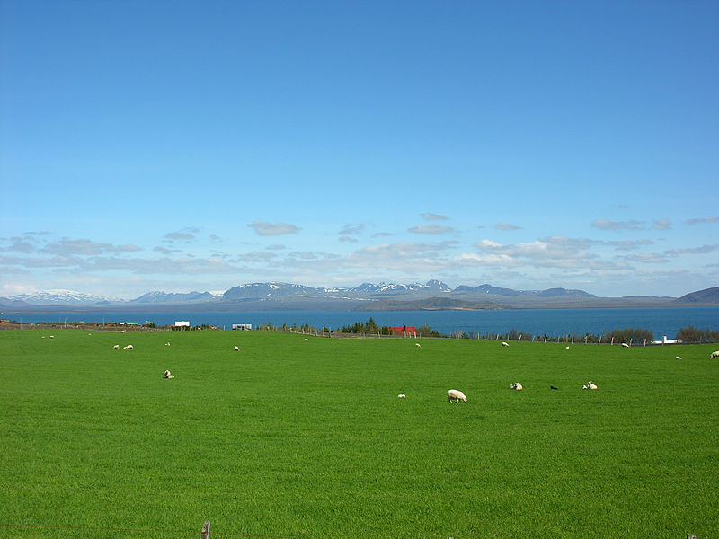 File:2008-05-25 14 46 55 Iceland-Þingvellir.jpg