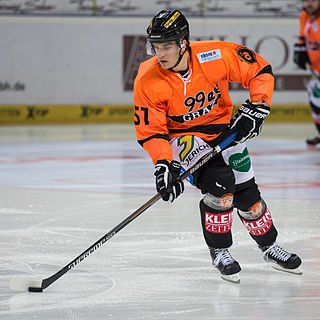 <span class="mw-page-title-main">Daniel Woger</span> Austrian ice hockey player