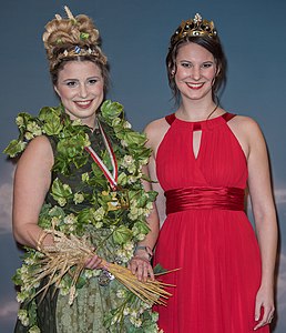 BR,Bayerisches Fernsehen,Fastnacht in Franken,Fastnachts-Verband Franken,Karneval,Live-Sendung,Mainfrankensäle