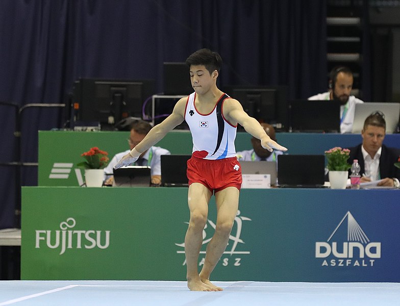 File:2019-06-27 1st FIG Artistic Gymnastics JWCH Men's All-around competition Subdivision 3 Floor exercise (Martin Rulsch) 071.jpg