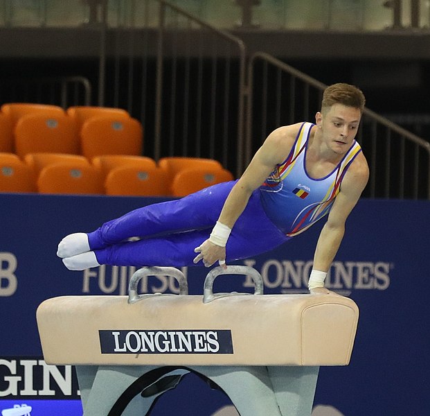 File:2019-06-27 1st FIG Artistic Gymnastics JWCH Men's All-around competition Subdivision 3 Pommel horse (Martin Rulsch) 011.jpg