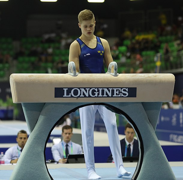 File:2019-06-27 1st FIG Artistic Gymnastics JWCH Men's All-around competition Subdivision 3 Pommel horse (Martin Rulsch) 213.jpg