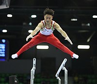 2019-06-30 1st FIG Artistic Gymnastics JWCH Men's Apparatus finals Parallel bars (Martin Rulsch) 549.jpg