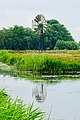 Amerikaanse windmolen