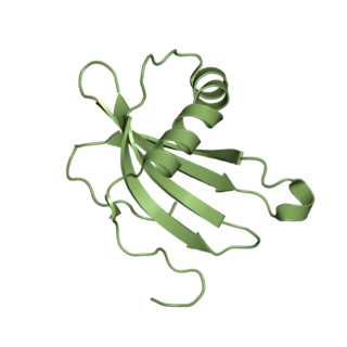 <span class="mw-page-title-main">Cystatin A</span> Protein-coding gene in the species Homo sapiens