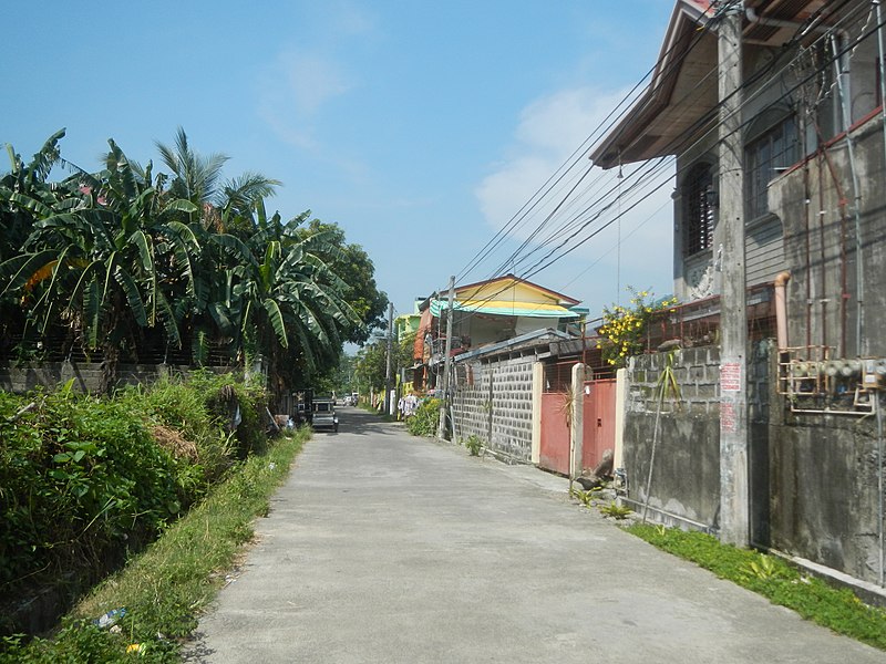 File:9302Silangan, Calauan, Laguna 26.jpg