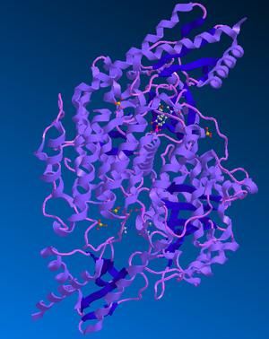 AROMATIC-L-AMINO-ACID DECARBOXYLASE.png