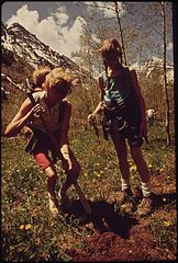 ASPEN RESIDENTS PLANT SEEDLINGS AT MAROON LAKE CAMPSITE, 12 MILES NORTH OF ASPEN. THEY ARE WORKING WITH THE UNITED... - NARA - 545721.jpg