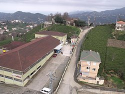 Köydeki çay fabrikası
