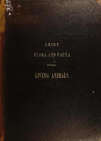 File:A flora and fauna within living animals (IA cu31924085659500).pdf