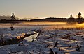 Platz 2: Mölchlein - Abendstimmung am Lothdorfer Bach im Biotop Nördliche Lothdorfer Wiesen mit Aufstau des Lothdorfer Grabens