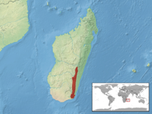 Amphiglossus anosyensis distribution.png