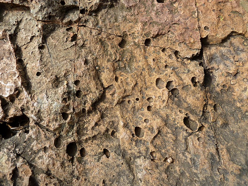 File:Andesitiese basalt, Hekpoort-formasie, c, Faerie Glen NR.jpg