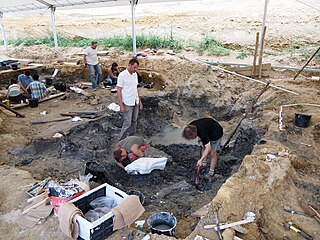 <span class="mw-page-title-main">Angeac-Charente bonebed</span>