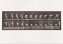Animal Locomotion. An Electro-Photographic Investigation of Consecutive Phases of Animal Movements. Commenced 1872 - Completed 1885. Volume I, Men (Nude) MET DT6805.jpg